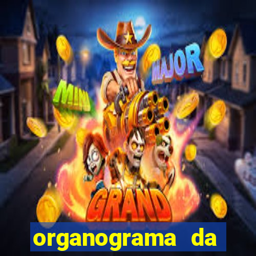 organograma da cacau show